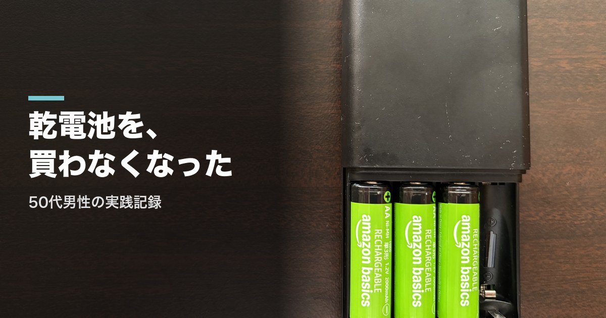 Amazon Basics充電池をパナソニックの充電器にセットした状態（実物写真）